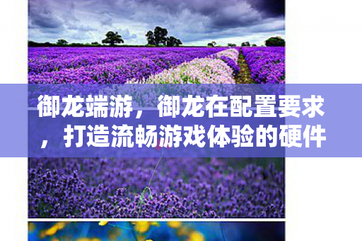 御龙端游，御龙在配置要求，打造流畅游戏体验的硬件指南