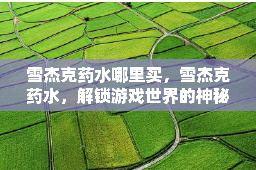 雪杰克药水哪里买，雪杰克药水，解锁游戏世界的神秘钥匙