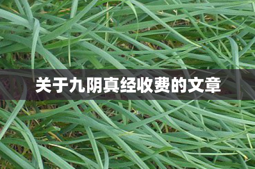关于九阴真经收费的文章