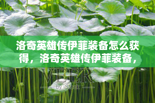 洛奇英雄传伊菲装备怎么获得，洛奇英雄传伊菲装备，打造完美战斗力的关键