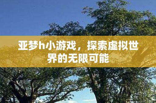 亚梦h小游戏，探索虚拟世界的无限可能
