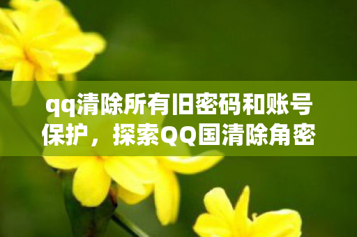 qq清除所有旧密码和账号保护，探索QQ国清除角密码的奥秘，安全、便捷与合规性