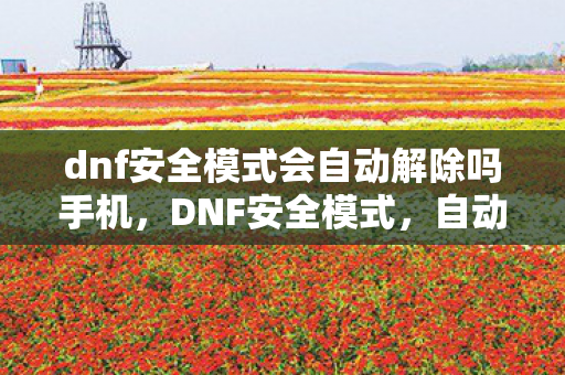 dnf安全模式会自动解除吗手机，DNF安全模式，自动解除的奥秘