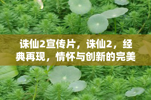 诛仙2宣传片，诛仙2，经典再现，情怀与创新的完美融合