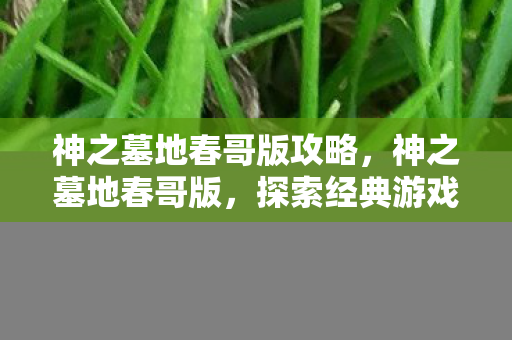 神之墓地春哥版攻略，神之墓地春哥版，探索经典游戏的独特魅力