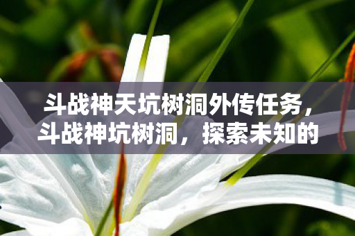 斗战神天坑树洞外传任务，斗战神坑树洞，探索未知的游戏秘境