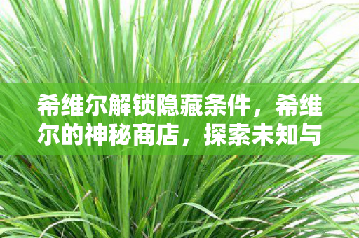 希维尔解锁隐藏条件，希维尔的神秘商店，探索未知与惊喜的奇幻之旅