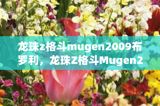 龙珠z格斗mugen2009布罗利，龙珠Z格斗Mugen2009，经典再现，激情燃烧的战斗回忆