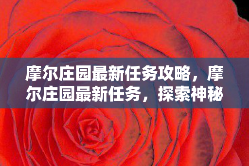 摩尔庄园最新任务攻略，摩尔庄园最新任务，探索神秘遗迹，解锁全新成就