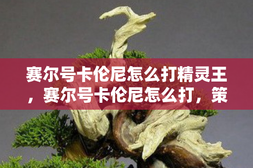 赛尔号卡伦尼怎么打精灵王，赛尔号卡伦尼怎么打，策略与技巧详解