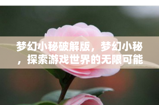 梦幻小秘破解版，梦幻小秘，探索游戏世界的无限可能