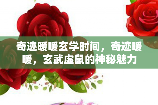 奇迹暖暖玄学时间，奇迹暖暖，玄武虚鼠的神秘魅力