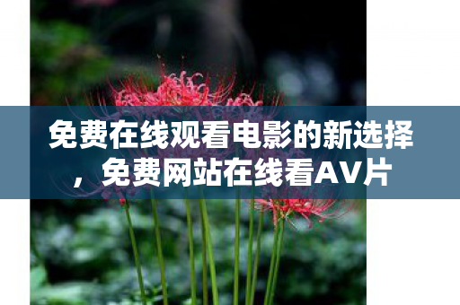 免费在线观看电影的新选择，免费网站在线看AV片