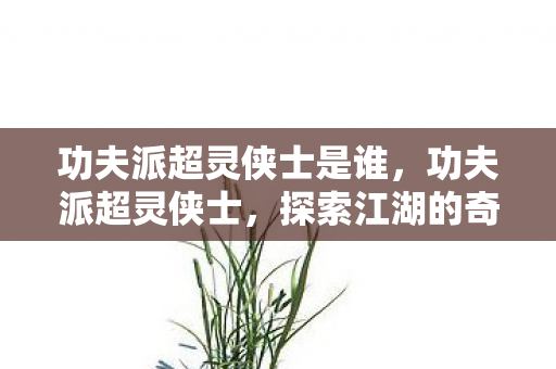 功夫派超灵侠士是谁，功夫派超灵侠士，探索江湖的奇幻之旅