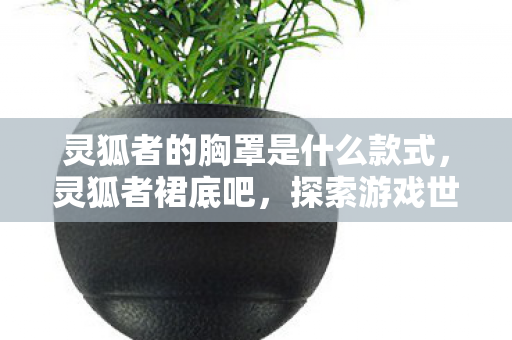 灵狐者的胸罩是什么款式，灵狐者裙底吧，探索游戏世界的另一面