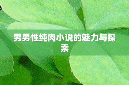 男男性纯肉小说的魅力与探索