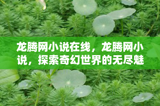 龙腾网小说在线，龙腾网小说，探索奇幻世界的无尽魅力