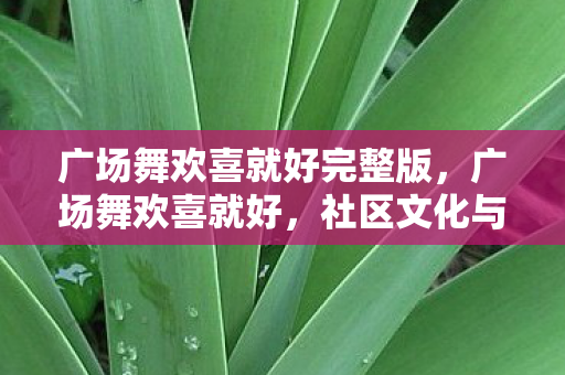广场舞欢喜就好完整版，广场舞欢喜就好，社区文化与健康生活的完美融合