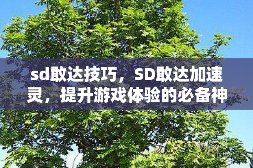 sd敢达技巧，SD敢达加速灵，提升游戏体验的必备神器
