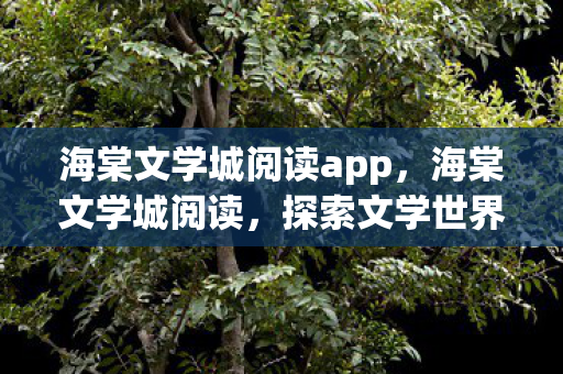 海棠文学城阅读app，海棠文学城阅读，探索文学世界的奇妙之旅