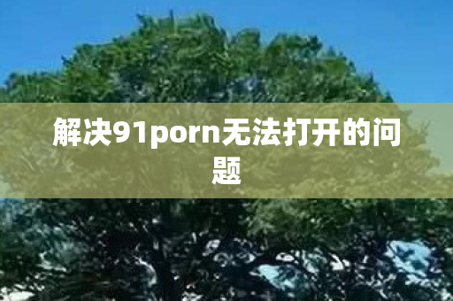 解决91porn无法打开的问题