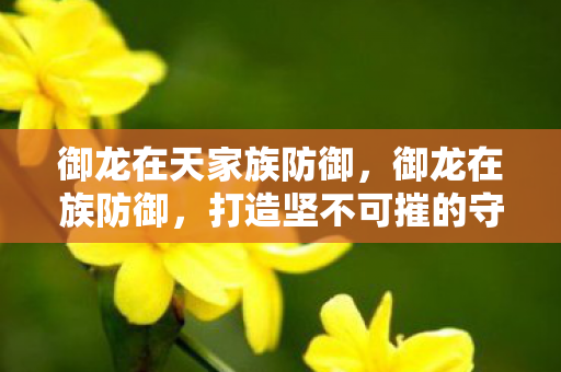 御龙在天家族防御，御龙在族防御，打造坚不可摧的守护壁垒