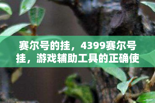 赛尔号的挂，4399赛尔号挂，游戏辅助工具的正确使用与注意事项