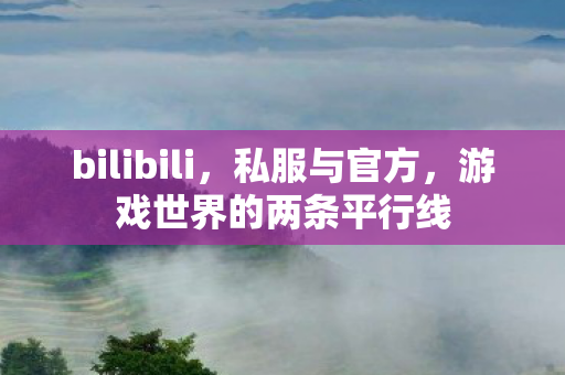 bilibili，私服与官方，游戏世界的两条平行线