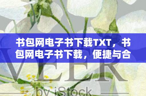 书包网电子书下载TXT，书包网电子书下载，便捷与合法的阅读新选择