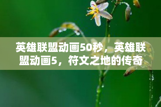 英雄联盟动画50秒，英雄联盟动画5，符文之地的传奇冒险