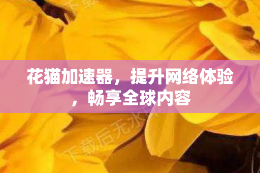 花猫加速器，提升网络体验，畅享全球内容