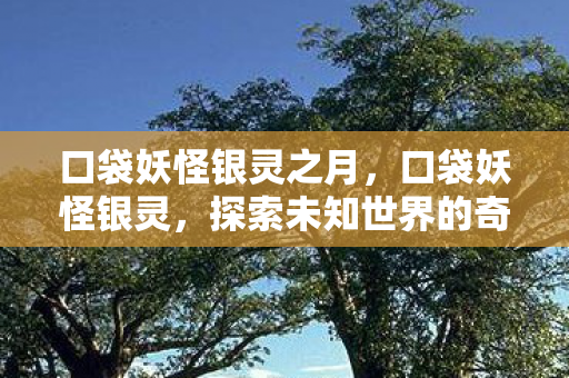 口袋妖怪银灵之月，口袋妖怪银灵，探索未知世界的奇妙旅程