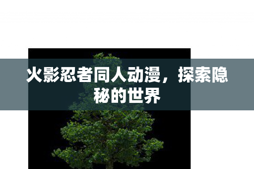 火影忍者同人动漫，探索隐秘的世界