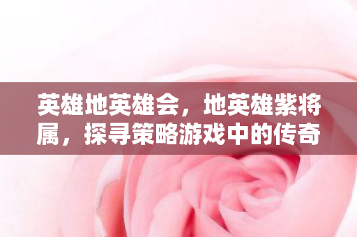 英雄地英雄会，地英雄紫将属，探寻策略游戏中的传奇色彩