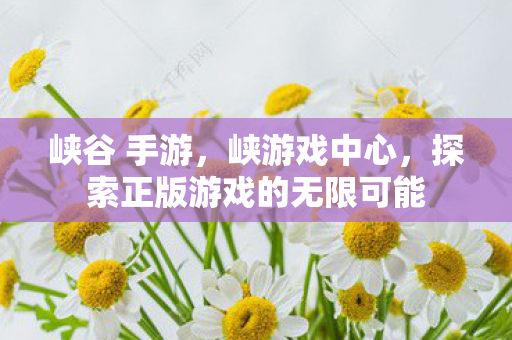 峡谷 手游，峡游戏中心，探索正版游戏的无限可能