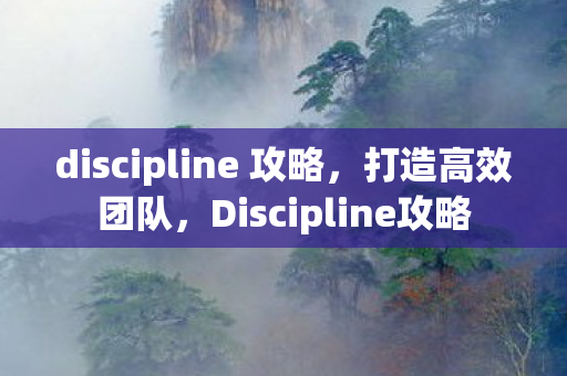 discipline 攻略，打造高效团队，Discipline攻略
