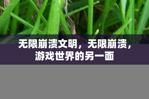 无限崩溃文明，无限崩溃，游戏世界的另一面