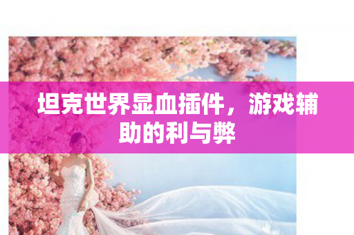 坦克世界显血插件，游戏辅助的利与弊