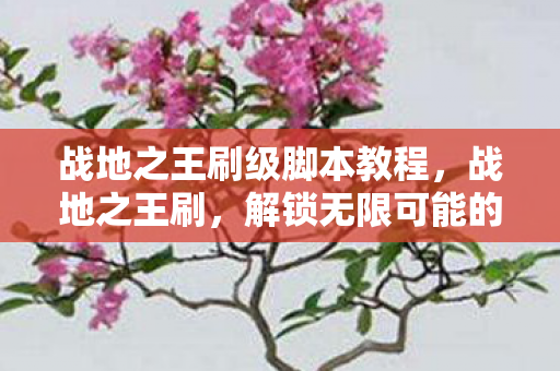 战地之王刷级脚本教程，战地之王刷，解锁无限可能的战场新体验