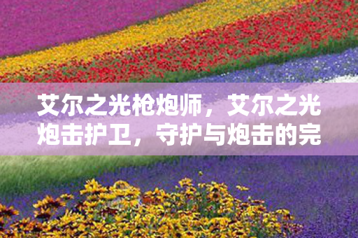 艾尔之光枪炮师，艾尔之光炮击护卫，守护与炮击的完美结合
