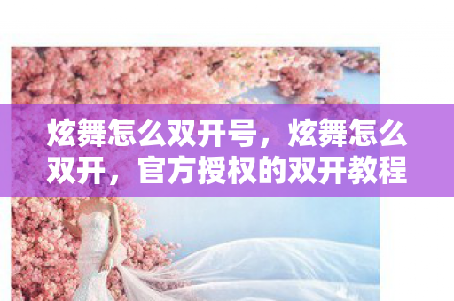 炫舞怎么双开号，炫舞怎么双开，官方授权的双开教程