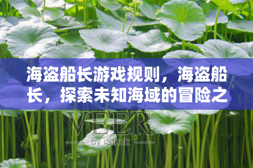 海盗船长游戏规则，海盗船长，探索未知海域的冒险之旅