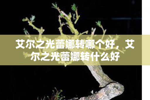 艾尔之光蕾娜转哪个好，艾尔之光蕾娜转什么好
