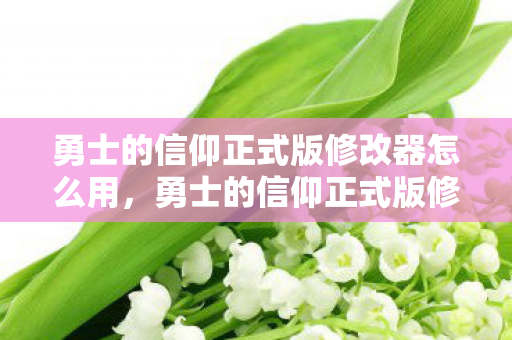 勇士的信仰正式版修改器怎么用，勇士的信仰正式版修改器，解锁无限可能的冒险之旅