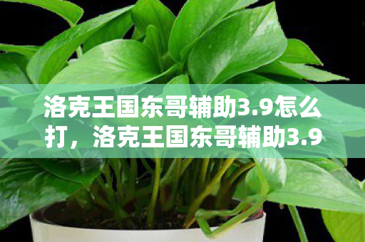 洛克王国东哥辅助3.9怎么打，洛克王国东哥辅助3.9，提升游戏体验的得力助手