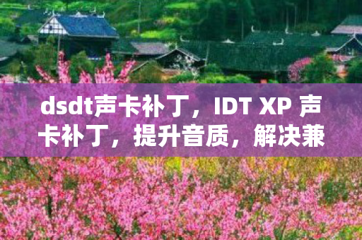 dsdt声卡补丁，IDT XP 声卡补丁，提升音质，解决兼容性问题
