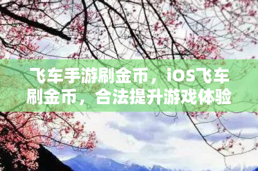 飞车手游刷金币，iOS飞车刷金币，合法提升游戏体验的秘籍