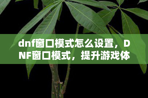 dnf窗口模式怎么设置，DNF窗口模式，提升游戏体验的实用技巧