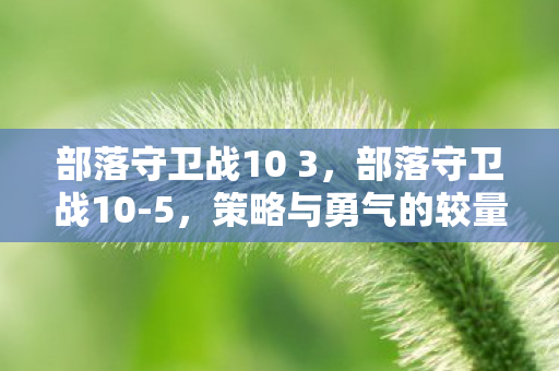 部落守卫战10 3，部落守卫战10-5，策略与勇气的较量