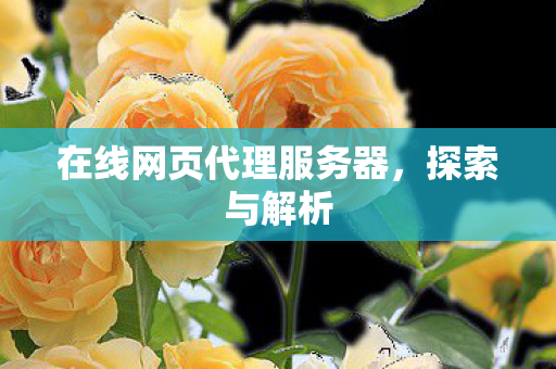 在线网页代理服务器，探索与解析